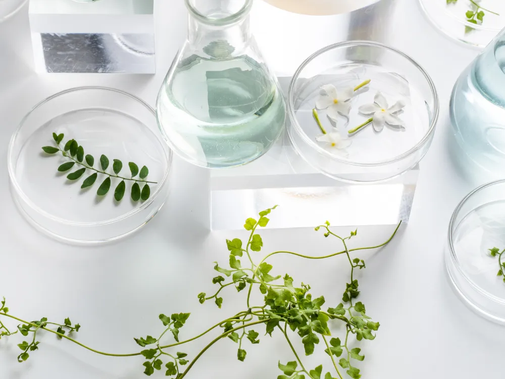 PGT-A For Your IVF Journey: What You Need to Know